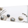 Sklenený obraz vajcia base 100x50 cm Sklenený obraz vajcia base 100x50 cm