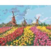 ZUTY Maľovanie podľa čísel - AMSTERDAMSKÉ MLYNY Rámovanie: bez rámu a bez vypnutia plátna, Rozmer: 80x100 cm ZUTY Maľovanie podľa čísel - AMSTERDAMSKÉ MLYNY Rámovanie: bez rámu a bez vypnutia plátna, Rozmer: 80x100 cm
