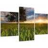 Moderný obraz - pole (Obraz 90x60cm) Moderný obraz - pole (Obraz 90x60cm)