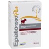 ICF Epato 1500 32 tbl ICF Epato 1500 32 tbl