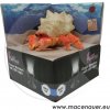 Hydor H2shOw Ocean Wonders Poustevnický krab 11x13x6 cm Hydor H2shOw Ocean Wonders Poustevnický krab 11x13x6 cm