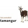 Tamangur - Leta Semadeni Tamangur - Leta Semadeni