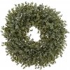 VENIEC EUKALYPT ZEL-BIELY 30CM VENIEC EUKALYPT ZEL-BIELY 30CM