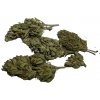 Kratomit CBG force kvety Balenie: 20g Kratomit CBG force kvety Balenie: 20g