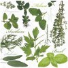 Servítky na dekupáž Herbs - 1 ks Servítky na dekupáž Herbs - 1 ks