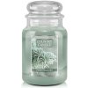 Country Candle Frosty Branches 652 g