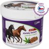 Wellife Konský balzam hrejivý konope a škorica 500 ml