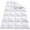 OBB Kazetová páperová prikrývka Elegance, teplá (200 x 220 cm) (100344845) OBB Kazetová páperová prikrývka Elegance, teplá (200 x 220 cm) (100344845)