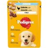 Pedigree Junior kapsička s kuracím a ryžou v želé 100 g Pedigree Junior kapsička s kuracím a ryžou v želé 100 g