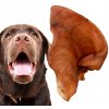 Hryzacia hračka pre psa Dogario – bravčové ucho 1 ks Hryzacia hračka pre psa Dogario – bravčové ucho 1 ks