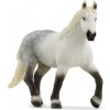 Schleich Peršeronská kobyla 13971 4059433789347 Schleich Peršeronská kobyla 13971 4059433789347