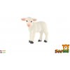 Ovca domáca jahňa 5 cm Ovca domáca jahňa 5 cm