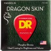 DR Strings DSM-10