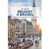 Brusel a Bruggy do kapsy - turistický průvodce Brusel a Bruggy do kapsy - turistický průvodce