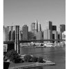 DIMEX fototapeta Manhattan MS-3-0010 - 225 x 250 cm (150g VLIES - LEPIDLO ZADARMO) DIMEX fototapeta Manhattan MS-3-0010 - 225 x 250 cm (150g VLIES - LEPIDLO ZADARMO)