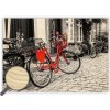 Obraz dřevěný: Bicycle, 485x340 Obraz dřevěný: Bicycle, 485x340