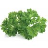 Click and Grow náplň pre smart kvetináče a farmy - Petržlen 3ks v balení Click and Grow náplň pre smart kvetináče a farmy - Petržlen 3ks v balení
