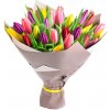 Farebné tulipány: 22 Farebné tulipány: 22