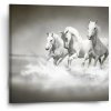 Sablio Obraz Biele kone - 50x50 cm Sablio Obraz Biele kone - 50x50 cm
