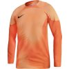 Nike Gardien IV Goalkeeper JSY M DH7967 819 goalkeeper jersey (93350) Black XXL Nike Gardien IV Goalkeeper JSY M DH7967 819 goalkeeper jersey (93350) Black XXL