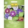 Povojník Morning Glory mix FloraSelf