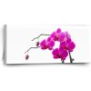 Sablio Obraz Fialové orchidey - 110x50 cm Sablio Obraz Fialové orchidey - 110x50 cm