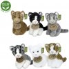 Plyšová kočka 11 cm sedící 6 druhů ECO-FRIENDLY (8590687450219) Plyšová kočka 11 cm sedící 6 druhů ECO-FRIENDLY (8590687450219)