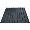 Plotový obojstranne farebný plech Bilka T12, 2000 x 1140mm RAL 7016 (antracit) matná