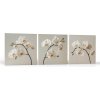Kvety Jemná orchidea |Zvýhodnená sada 3 obrazov Rozmery štvorec: 40x40 Kvety Jemná orchidea |Zvýhodnená sada 3 obrazov Rozmery štvorec: 40x40