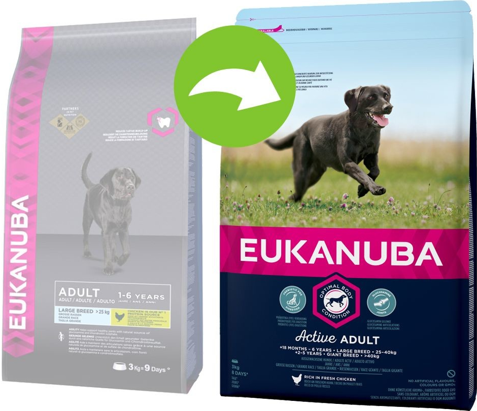 Eukanuba Active Adult Large Breed Chicken 2 x 15 kg