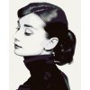 zuty Maľovanie podľa čísel - Audrey Hepburn I, 40x50 cm, vypnuté plátno na rám (8596530023135) zuty Maľovanie podľa čísel - Audrey Hepburn I, 40x50 cm, vypnuté plátno na rám (8596530023135)