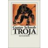 Troja (Gustav Schwab)(Brožovaná) Troja (Gustav Schwab)(Brožovaná)