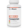 Náhrada steroidov GymBeam TRIBULUS TERRESTRIS - 240 TAB Náhrada steroidov GymBeam TRIBULUS TERRESTRIS - 240 TAB