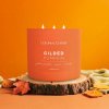 Colonial Candle - Pop of Color -Gilded Pumpkin / Pumpkin spice (411 g) Colonial Candle - Pop of Color -Gilded Pumpkin / Pumpkin spice (411 g)