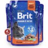 Brit Premium Cat kapsička Salmon for Sterilised 100 g Brit Premium Cat kapsička Salmon for Sterilised 100 g