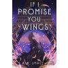 If I Promise You Wings - A.K. Small If I Promise You Wings - A.K. Small
