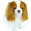 pes King Charles Španěl 25 cm