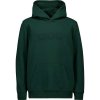 POC Hood Jr Pargasite Green POC Hood Jr Pargasite Green