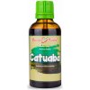 Bylinné kapky Catuaba - tinktúra, 50 ml Bylinné kapky Catuaba - tinktúra, 50 ml