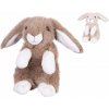 Zajac plyšový 20 cm - sediaci - mix variantov či farieb Zajac plyšový 20 cm - sediaci - mix variantov či farieb
