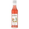 Monin sirup Pomerančový Spritz 50 ml