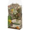 JR Farm Grainless HEALT MIX cincila degu 600 g