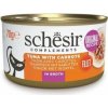 Schesir Complements Cat Tuniak s tekvicou vo vývare 70 g Schesir Complements Cat Tuniak s tekvicou vo vývare 70 g