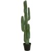 Mexický kaktus zelený, 123 cm Mexický kaktus zelený, 123 cm