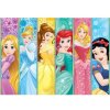 Fototapeta na stenu - FT5133 - Disney princezny 175cm x 250cm - Vlies 110gr Fototapeta na stenu - FT5133 - Disney princezny 175cm x 250cm - Vlies 110gr