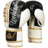 Boxerské rukavice DBX BUSHIDO B-2v16 Boxerské rukavice DBX BUSHIDO B-2v16