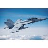 Hobby Boss Boeing EA-18G Growler 1/48 Hobby Boss Boeing EA-18G Growler 1/48