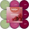 Bolsius čajové vonné sviečky Cranberry basic trojfarebné 18ks Bolsius čajové vonné sviečky Cranberry basic trojfarebné 18ks