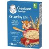 Gerber Junior Nemliečna kaša s chrumkavými kúskami jahodová (od ukonč.1. roka) 1x200 g Gerber Junior Nemliečna kaša s chrumkavými kúskami jahodová (od ukonč.1. roka) 1x200 g