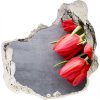 Fototapeta diera na stenu 3D Červené tulipány 75x75 cm Fototapeta diera na stenu 3D Červené tulipány 75x75 cm